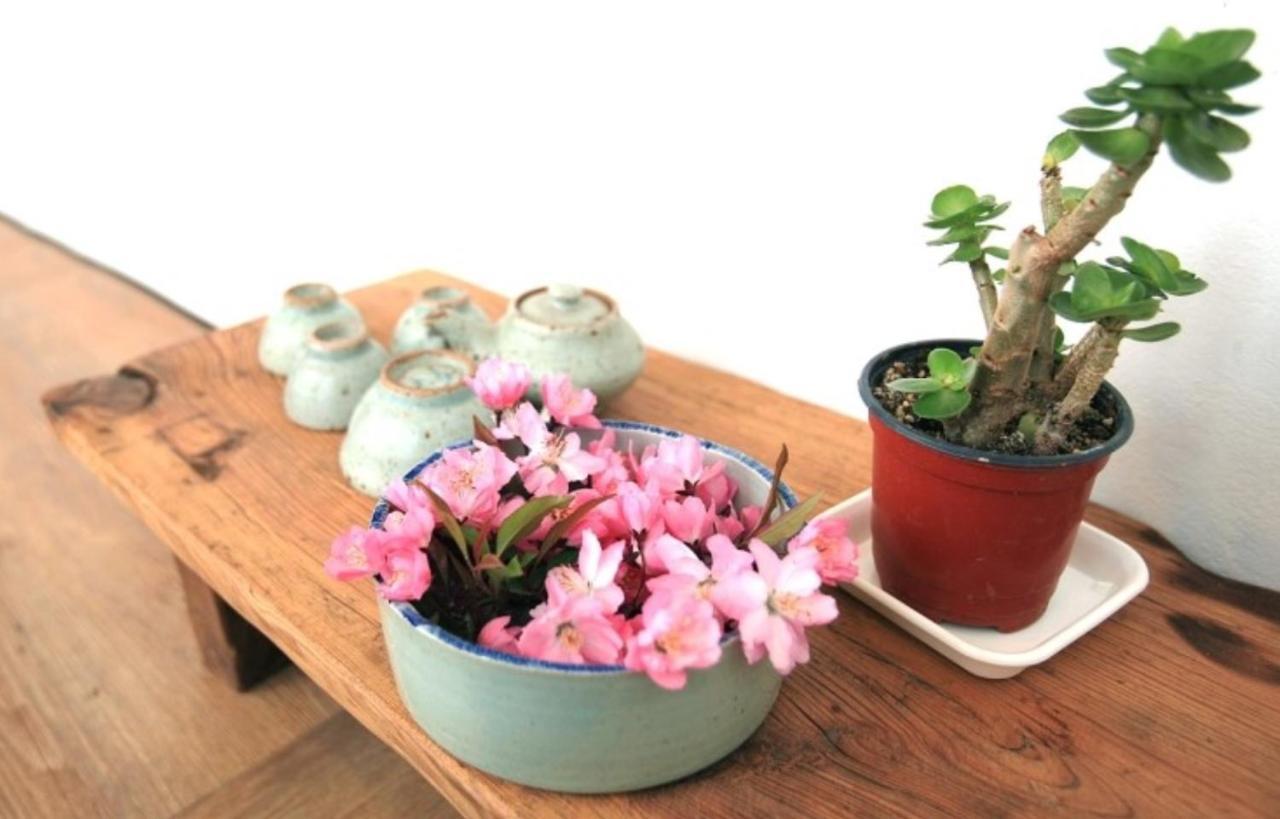 Mongyouhwawon Guesthouse Jeonju Luaran gambar